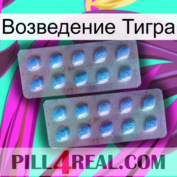 Возведение Тигра viagra4.jpg